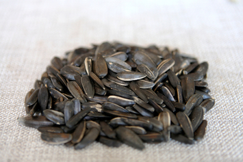 Sunflower seed roasted