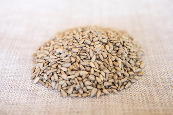 Sunflower seed kernel